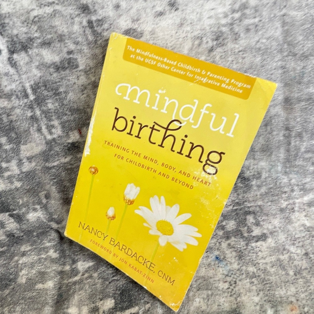 Mindful Birthing Training Mind Body Heart Nancy‎ Bardacke Childbirth Beyond
